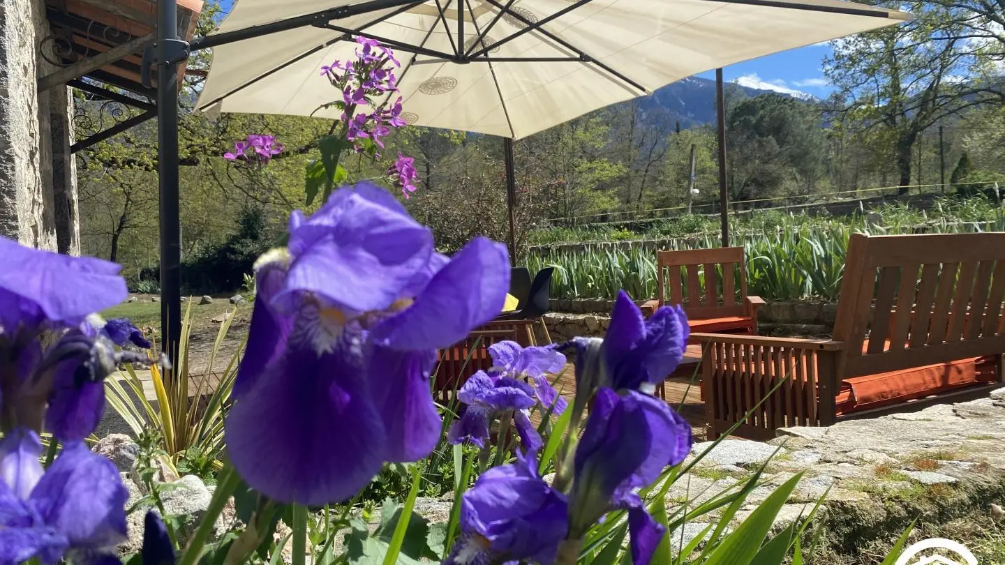 La pommeraie du Canigou_12