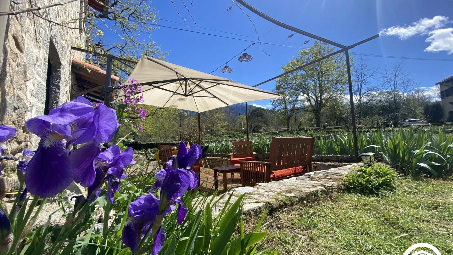 La pommeraie du Canigou_42