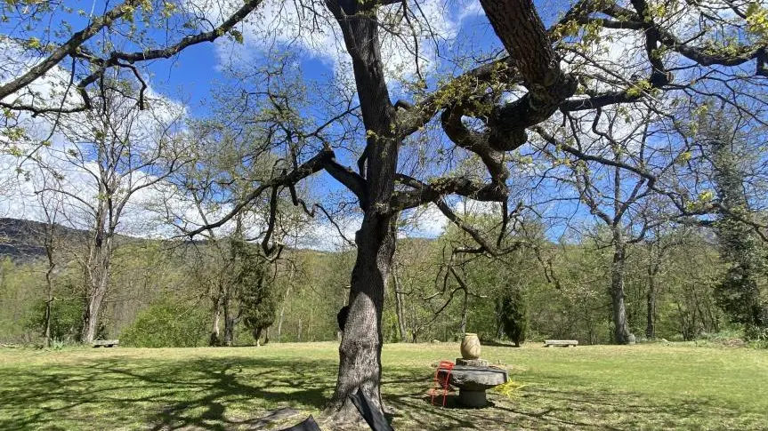 La pommeraie du Canigou_29