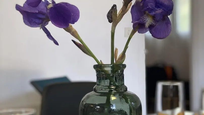 La pommeraie du Canigou_23