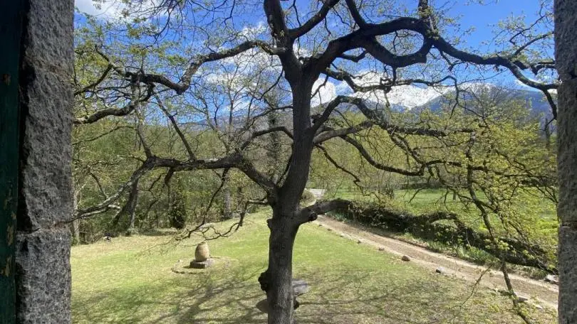 La pommeraie du Canigou_13