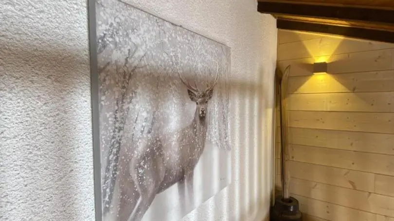 Chalet l'Esquirol_16