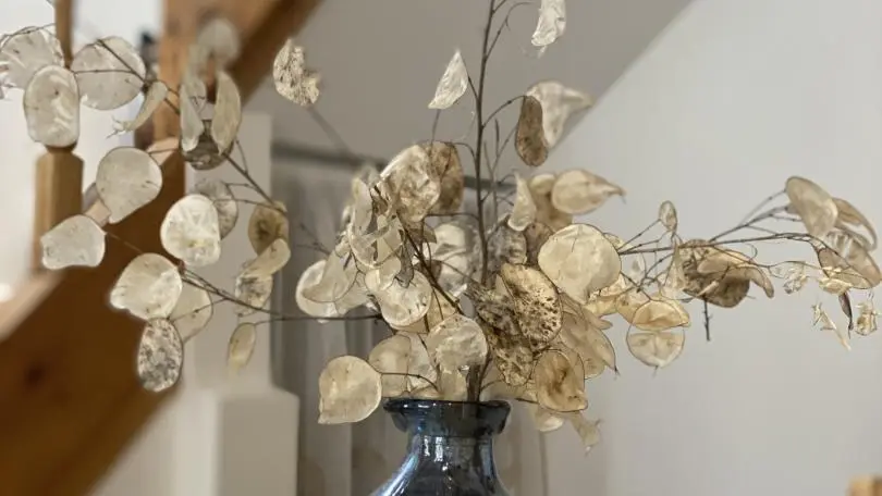 La maison de Nicou_10