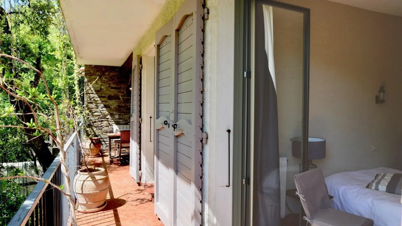 Les Mimosas de Collioure_26