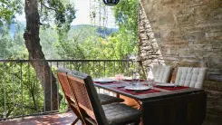 Les Mimosas de Collioure_1