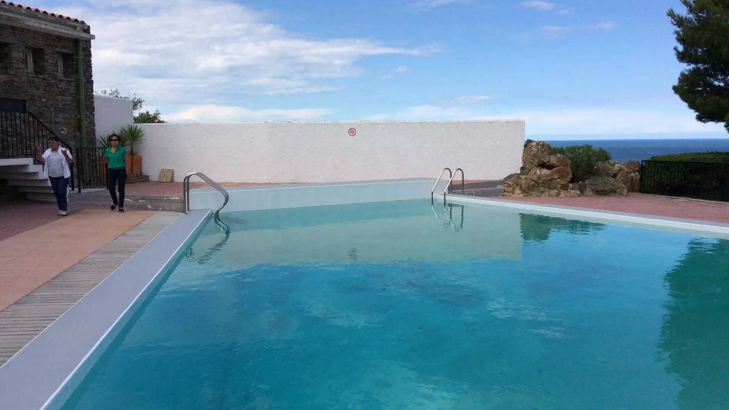 Les Mimosas de Collioure_18