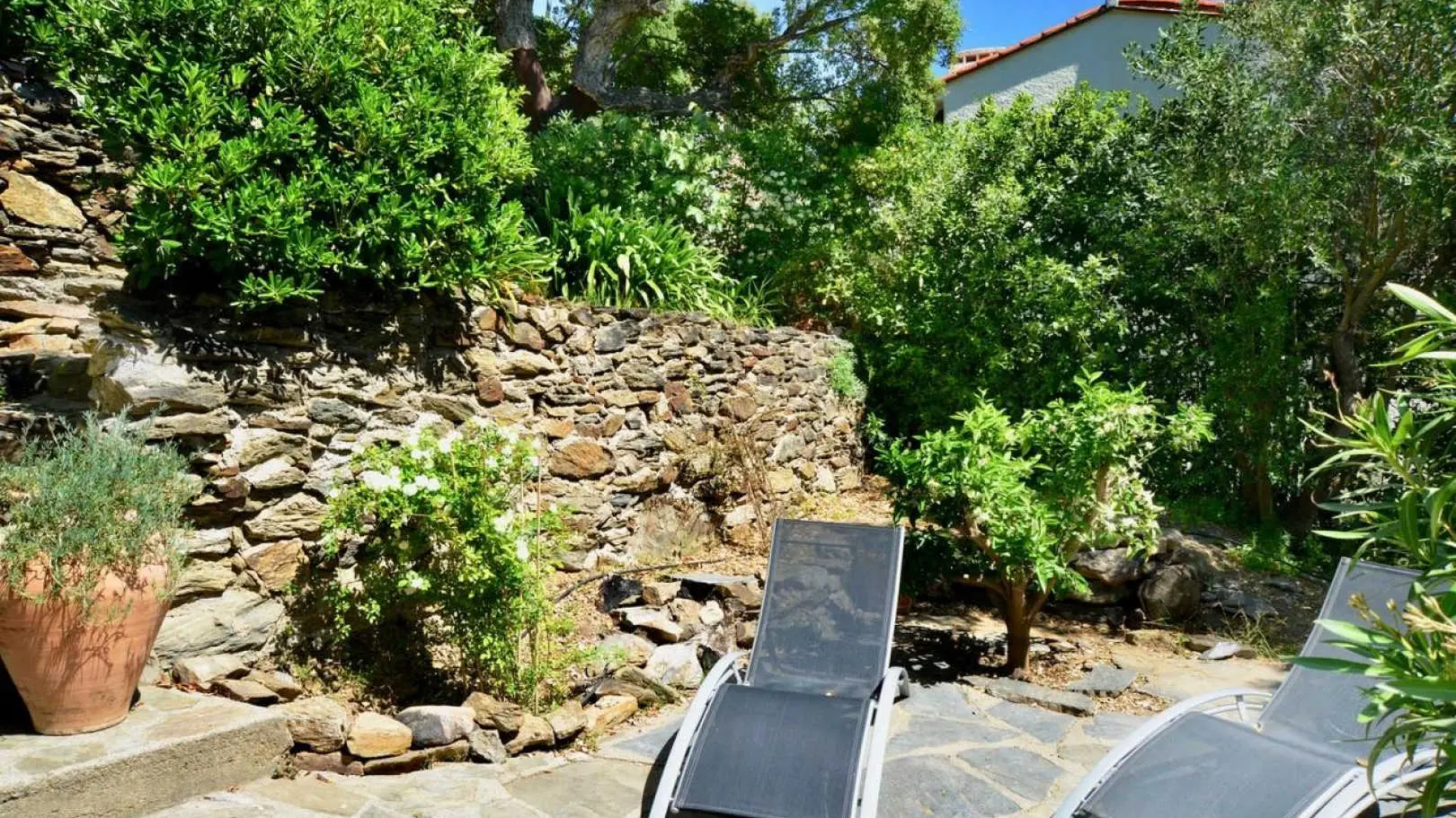 Les Mimosas de Collioure_24