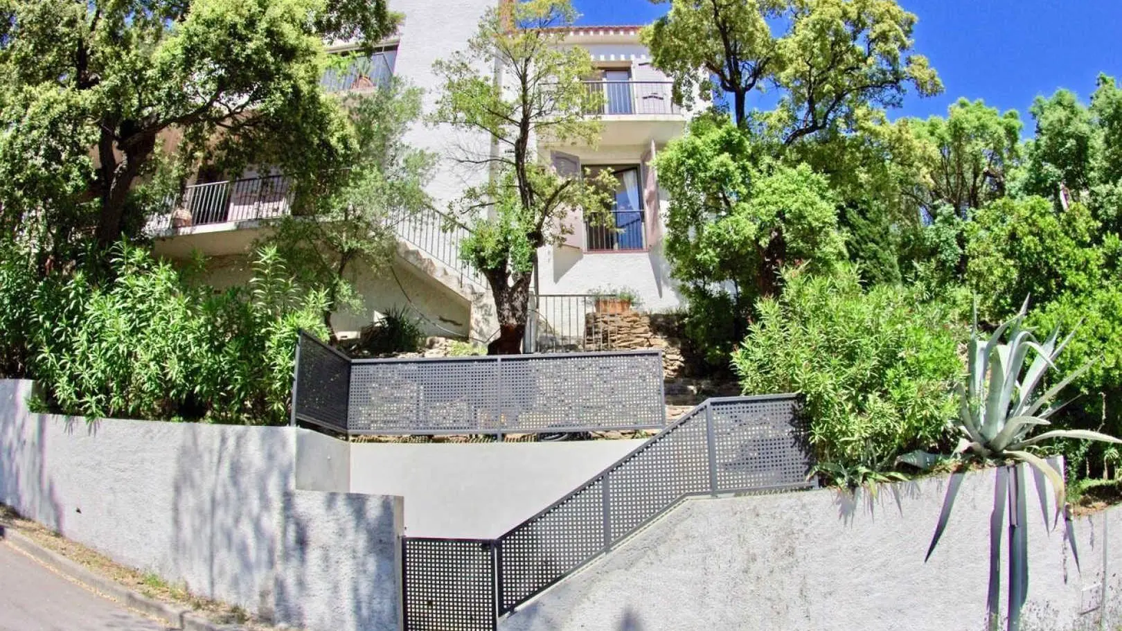 Les Mimosas de Collioure_17