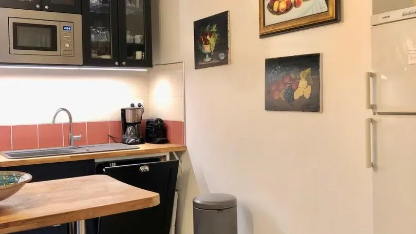 Les Mimosas de Collioure_8