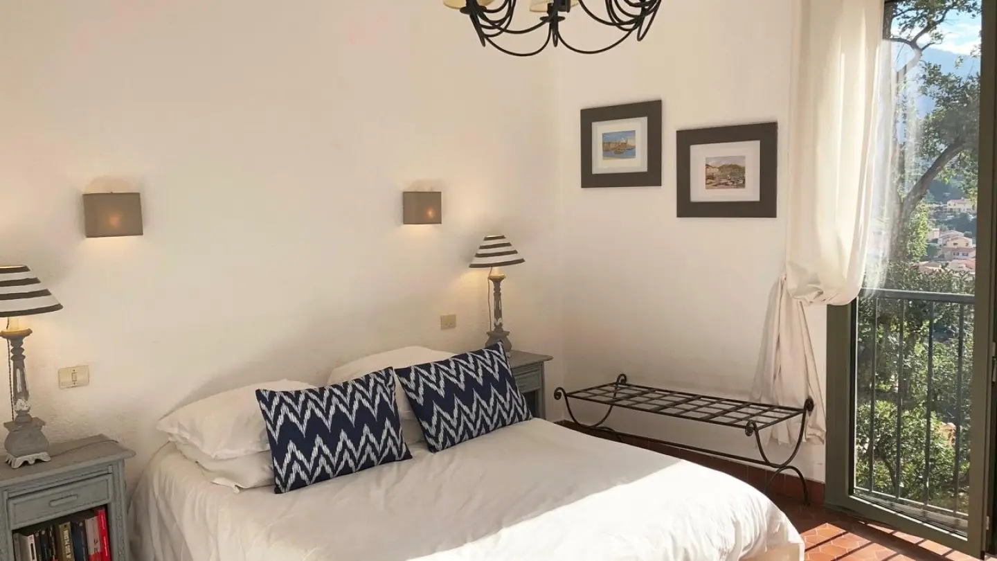 Les Mimosas de Collioure_30