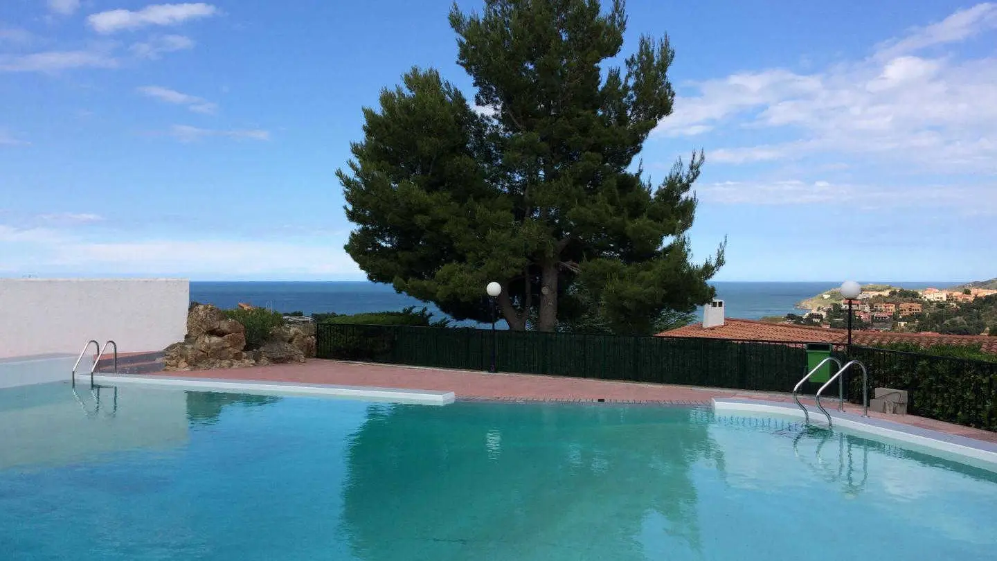 Les Mimosas de Collioure_27