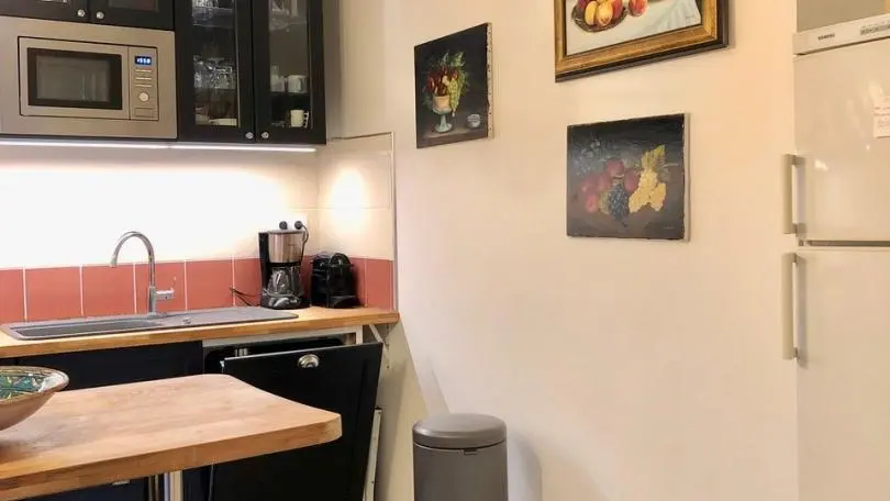 Les Mimosas de Collioure_29