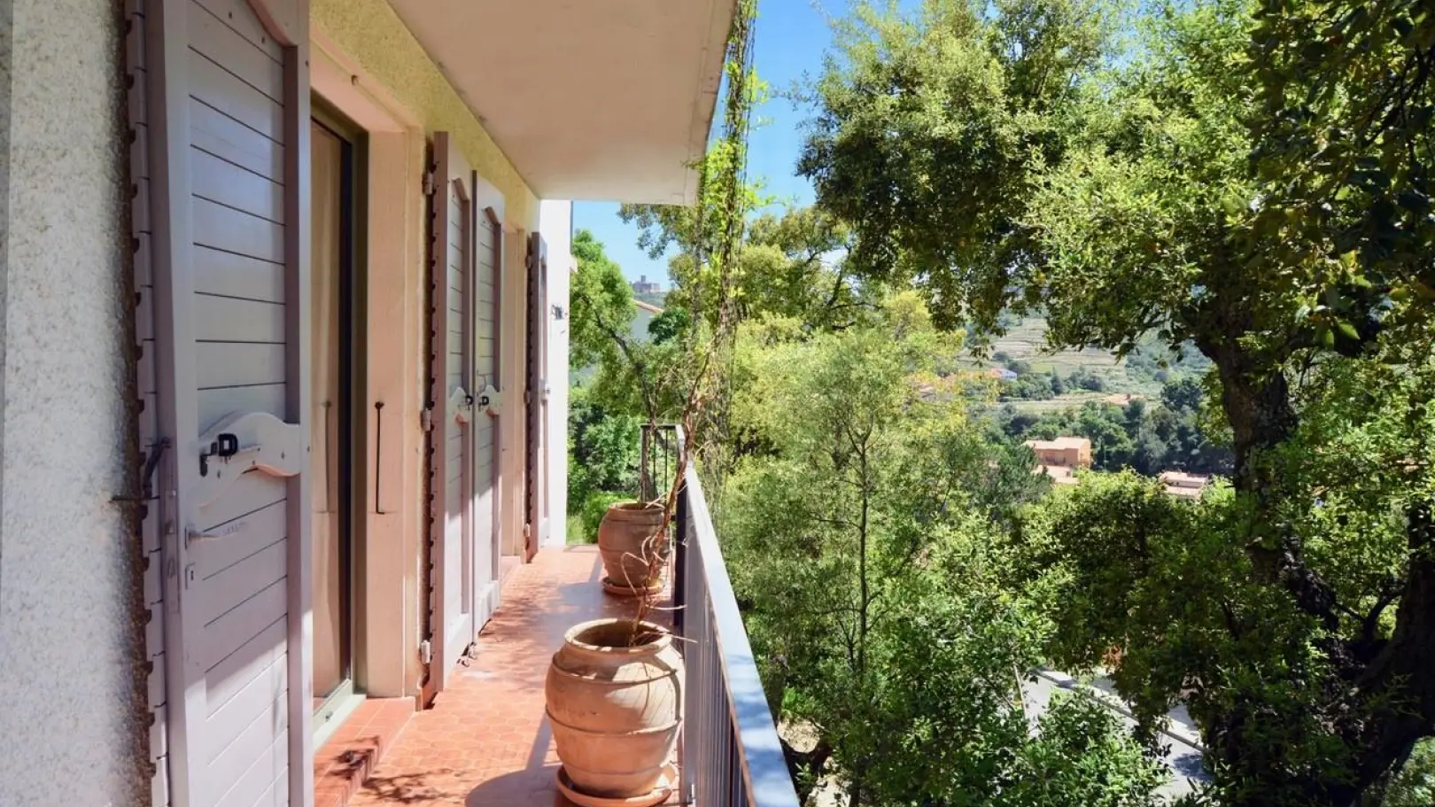 Les Mimosas de Collioure_25