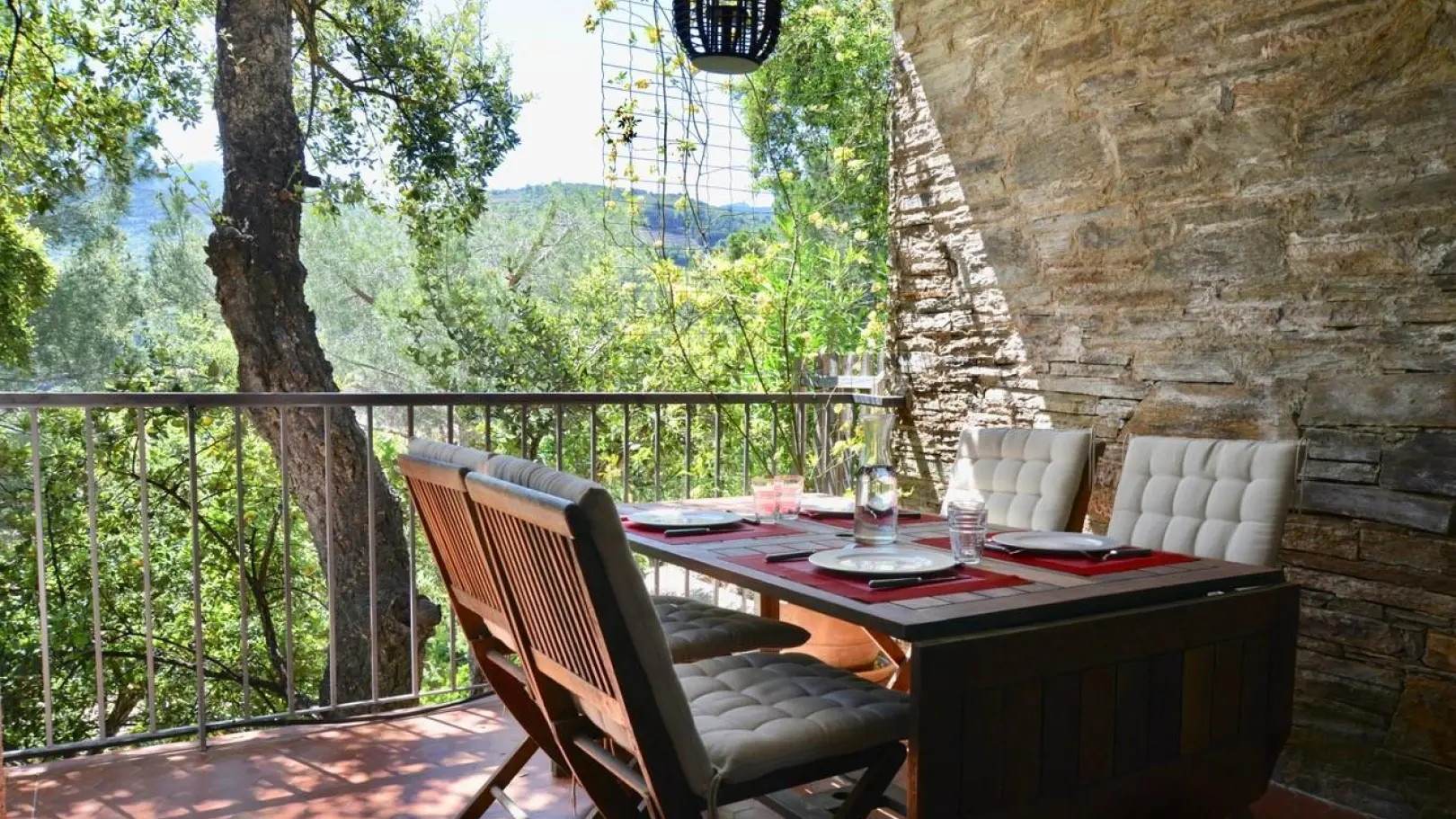 Les Mimosas de Collioure_2