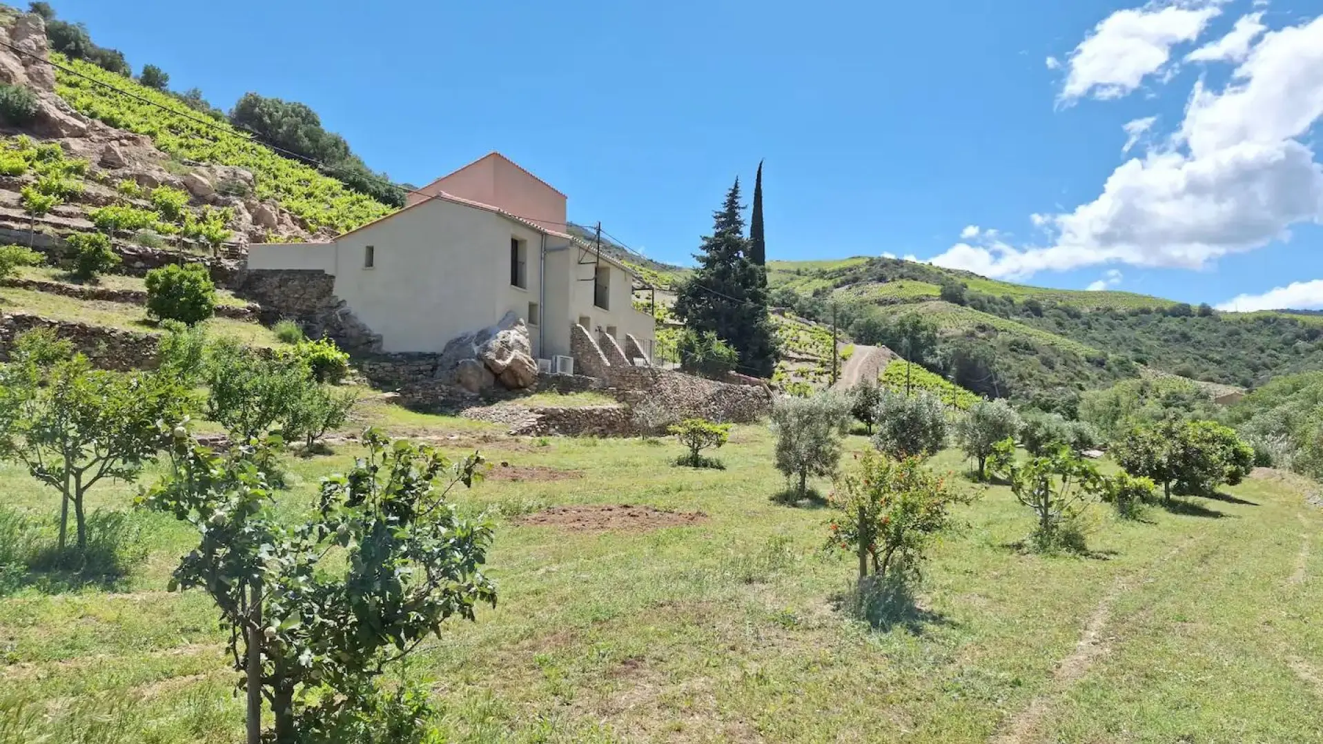 Maison Terra Rimbau_17