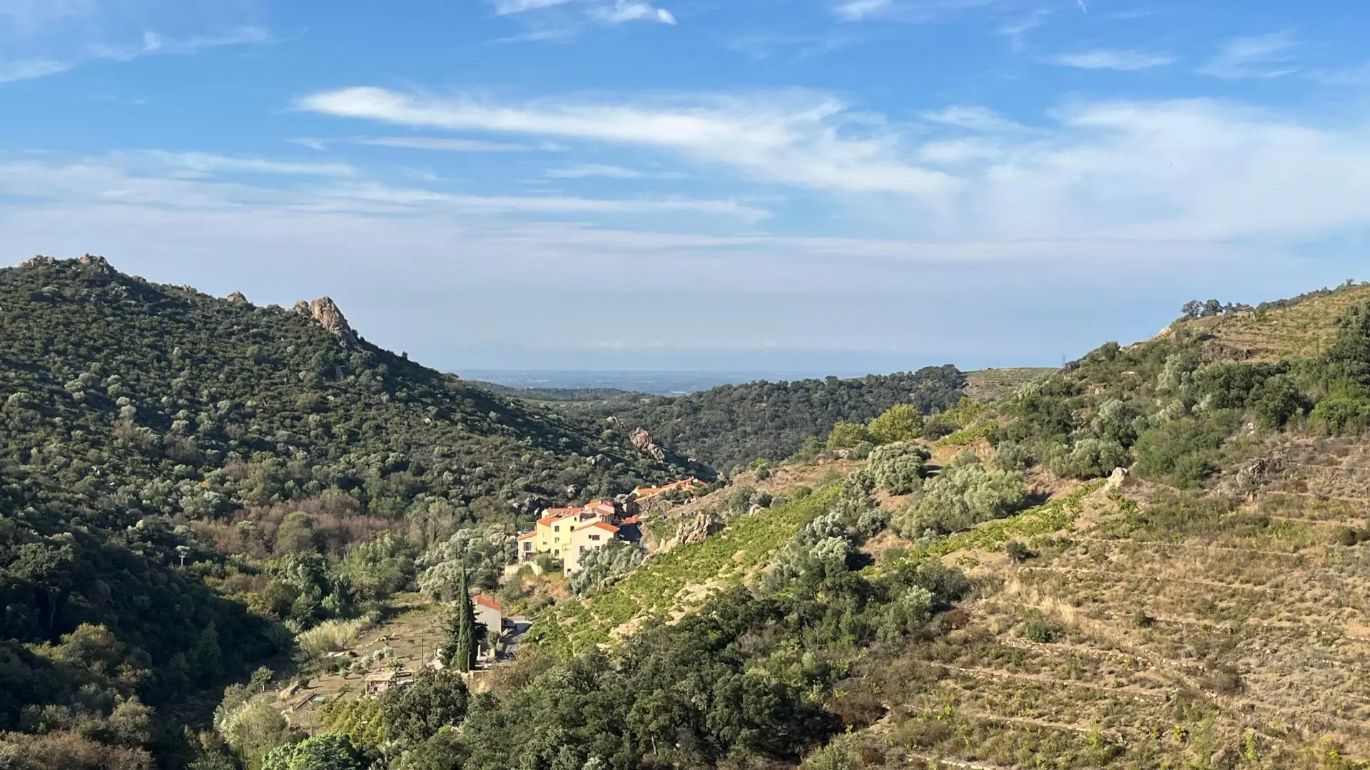 Maison Terra Rimbau_18