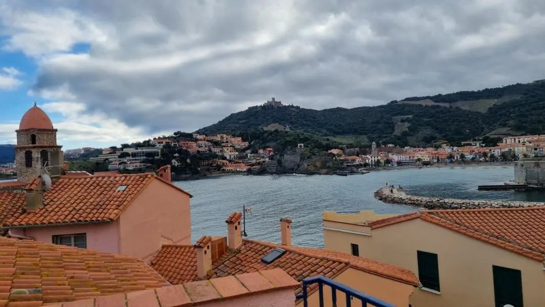Les toits de Collioure_28