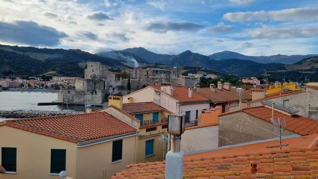 Les toits de Collioure_21