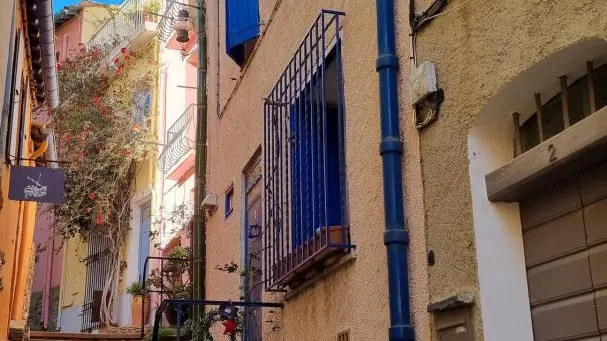 Les toits de Collioure_20