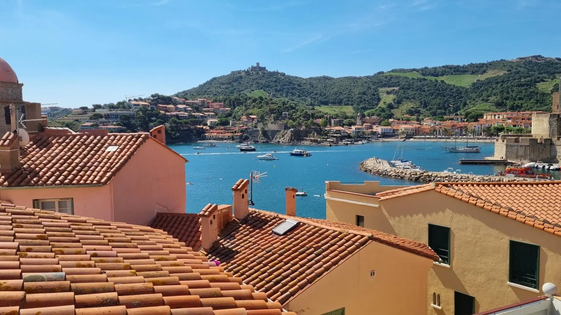 Les toits de Collioure_3