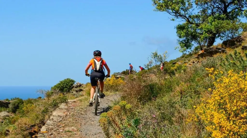 Gîte Mer et Vignes_27