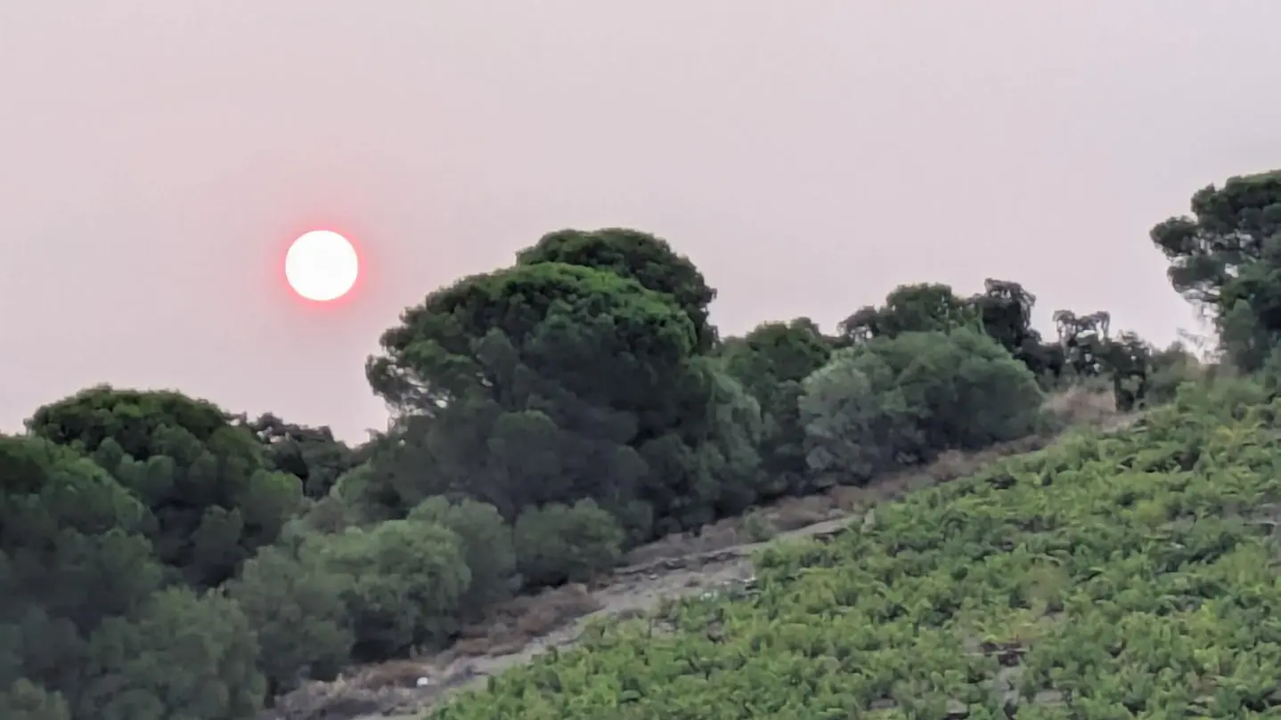 Gîte Mer et Vignes_31