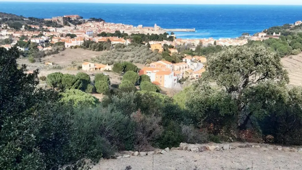 Gîte Mer et Vignes_29