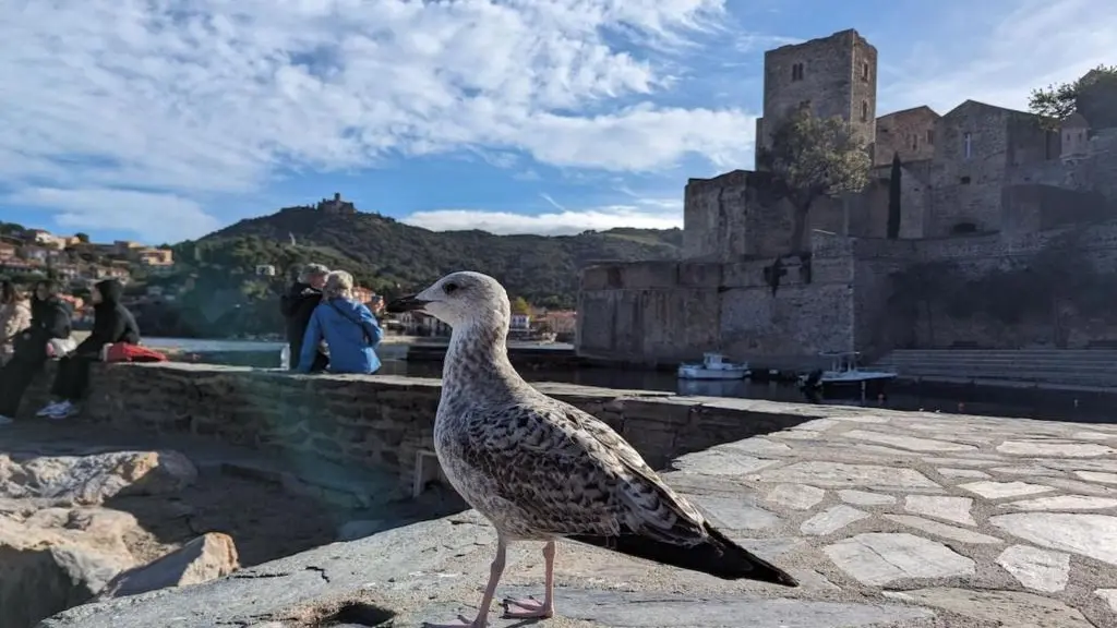 Gîte Mer et Vignes_28