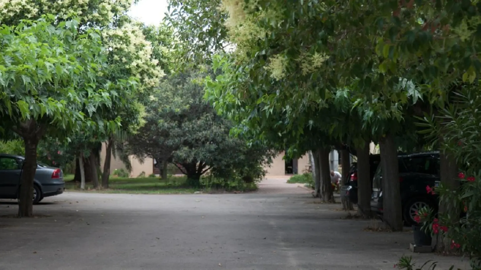 Mas Couloumine- Madeloc_8