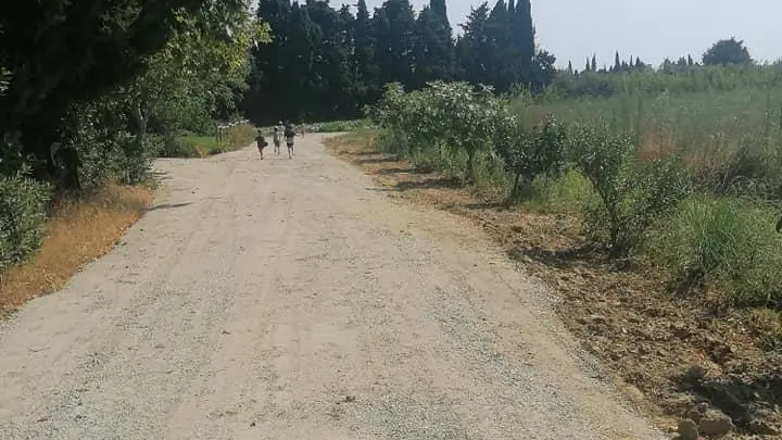 La roulotte du maraicher_16