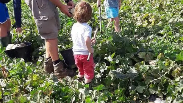 Le gite du maraicher_11