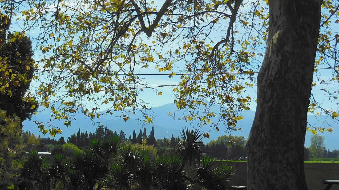 Mas de la roubine_18