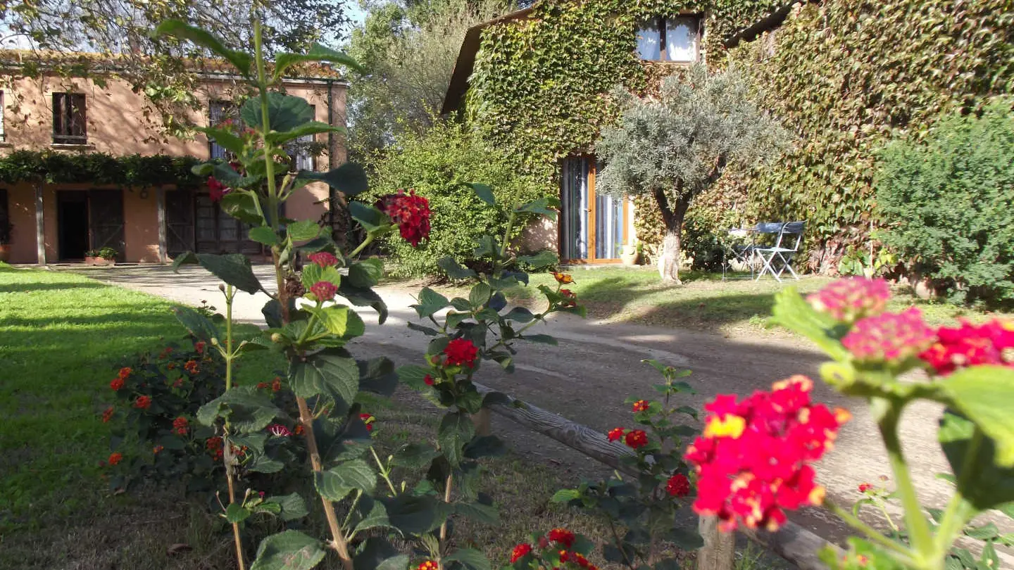 Mas de la roubine_34