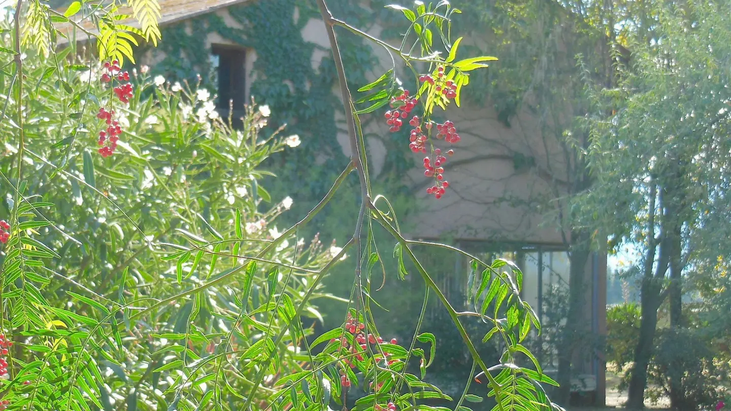 La roubine - 6 personnes_11