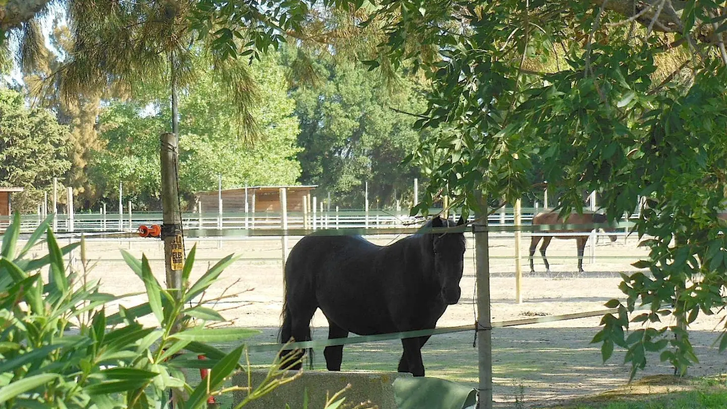 La roubine - 6 personnes_13