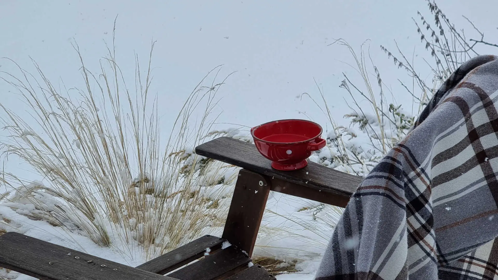 La cabane du trappeur_18