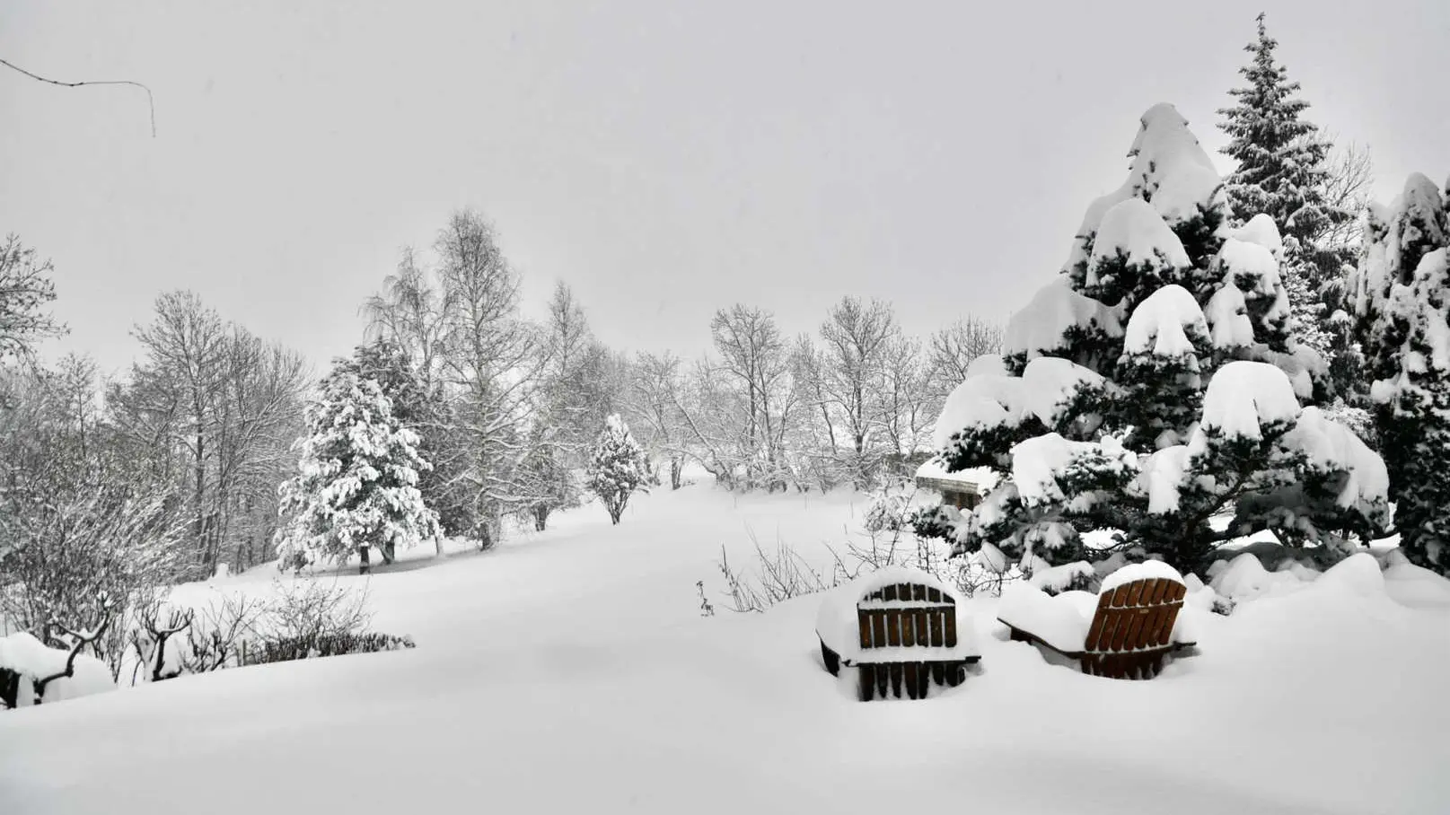 La cabane du trappeur_46