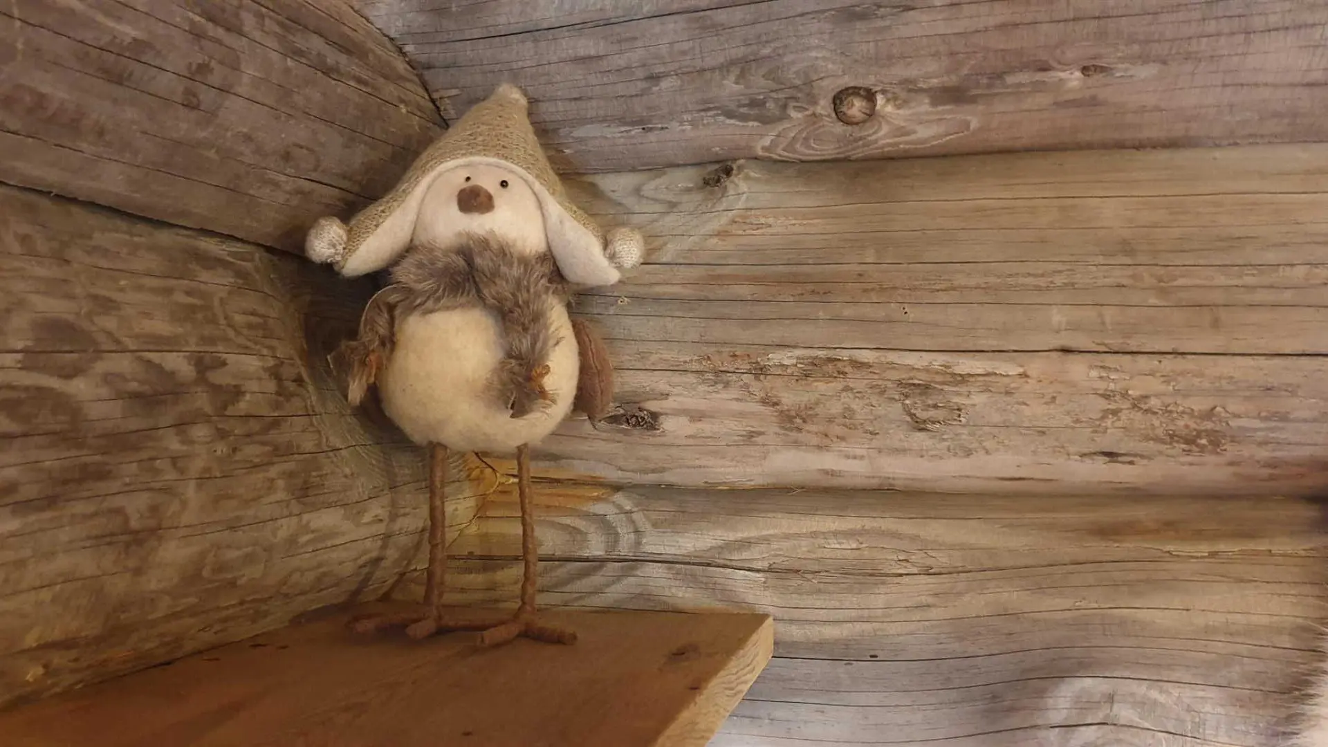 La cabane du trappeur_36