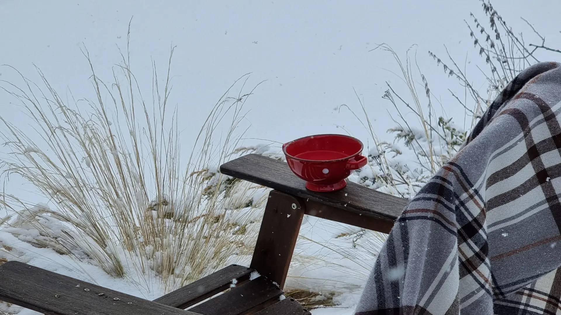 La cabane du trappeur_18