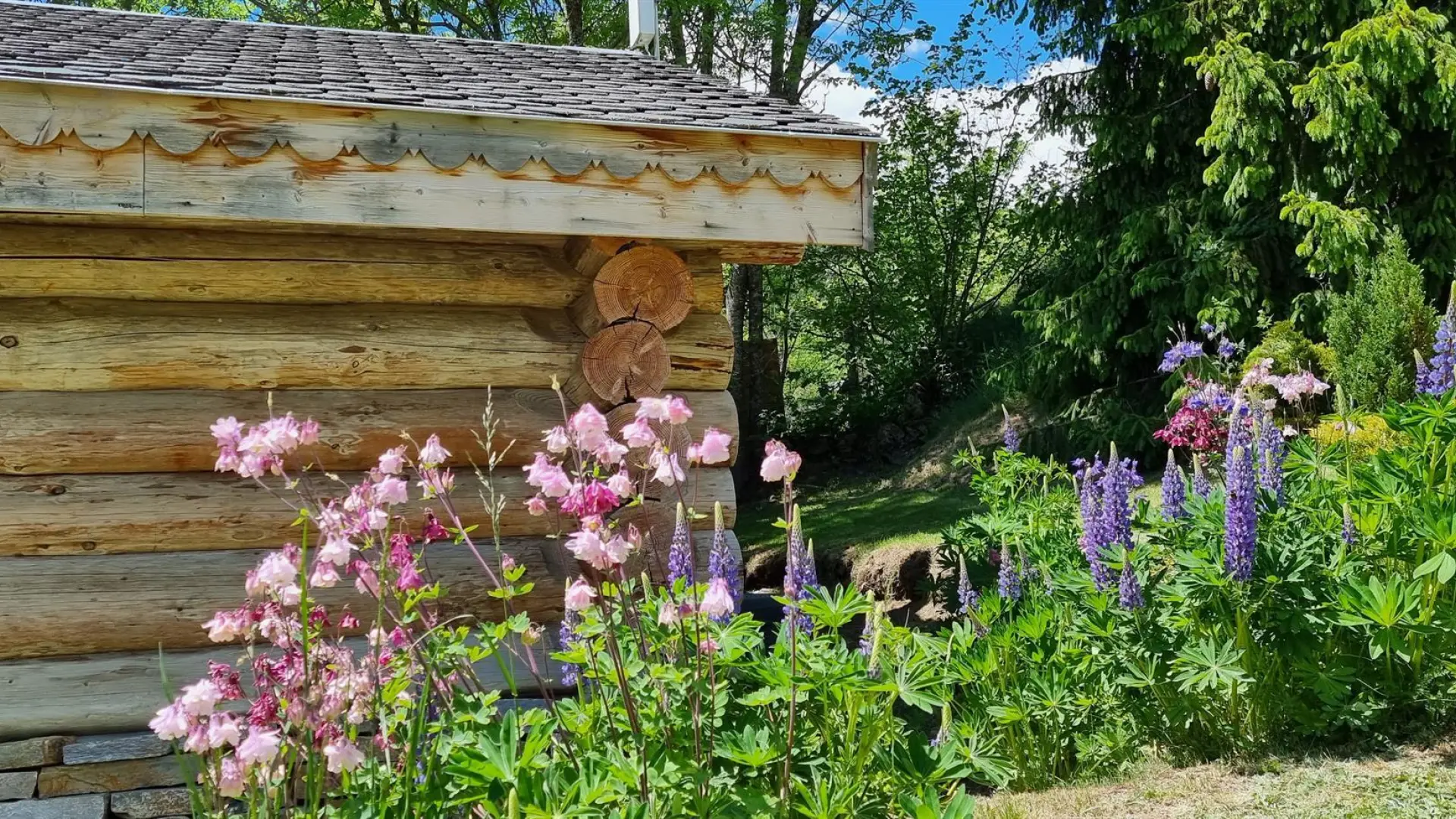 La cabane du trappeur_31