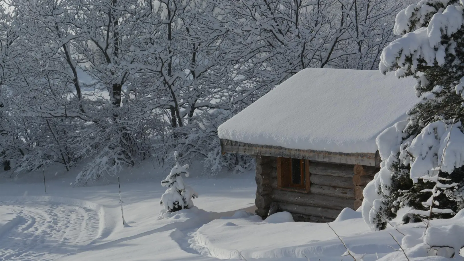 La cabane du trappeur_27