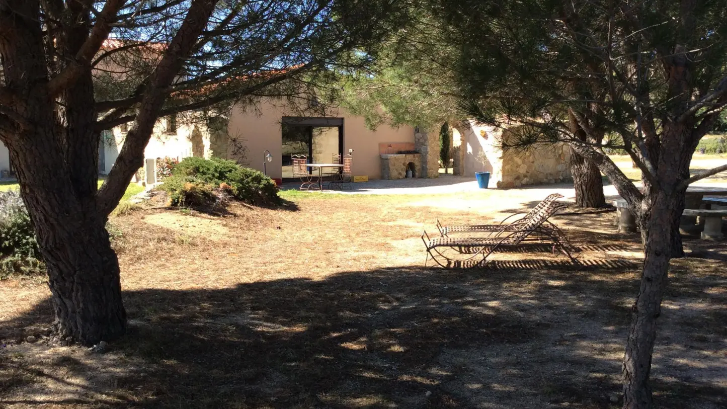 Gîte et oliviers_13