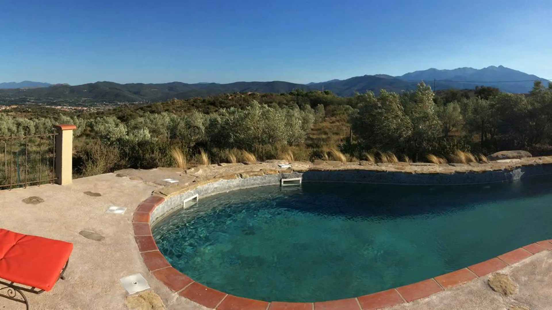 Gîte et oliviers_18