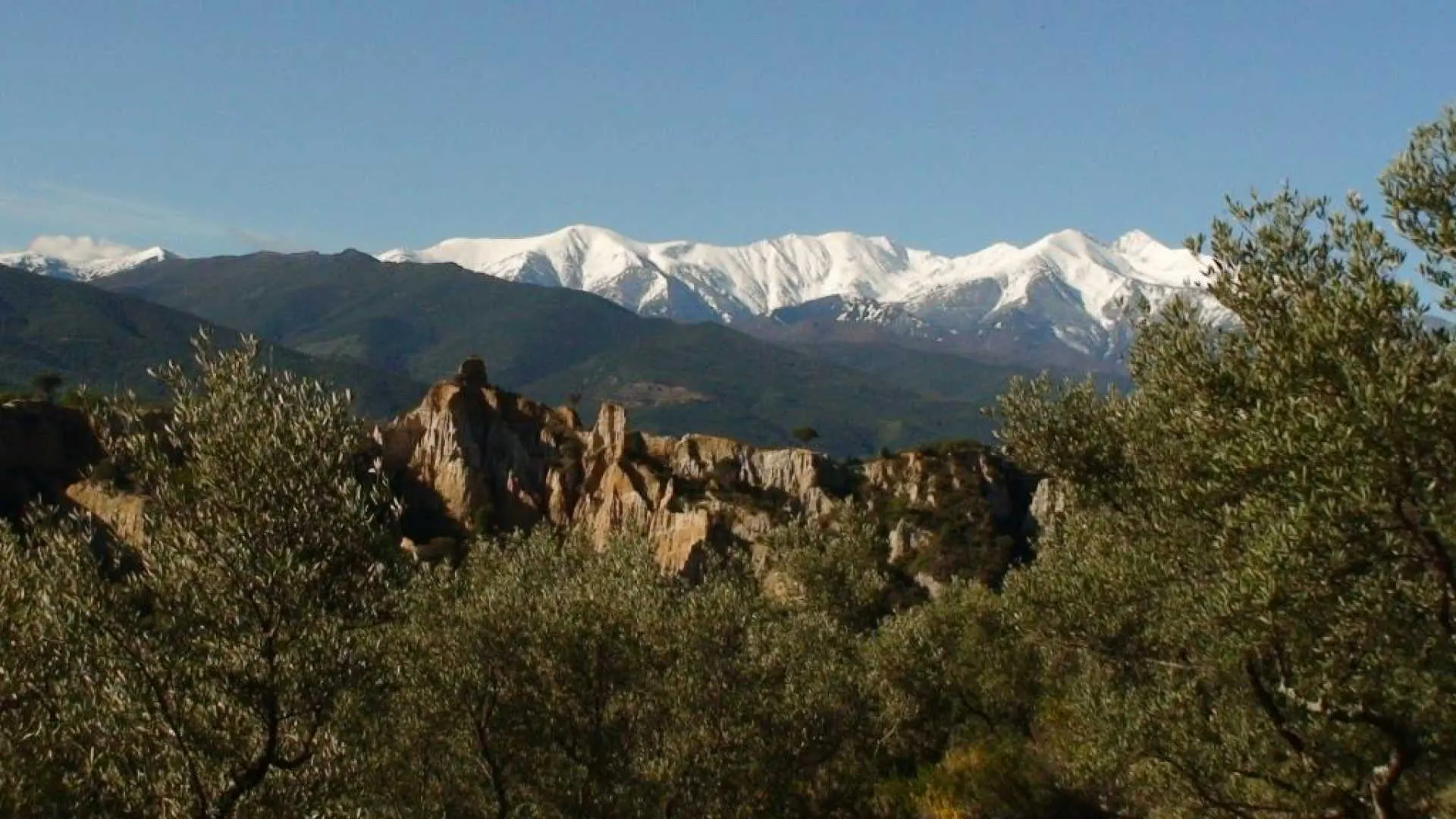 Gîte et oliviers_26