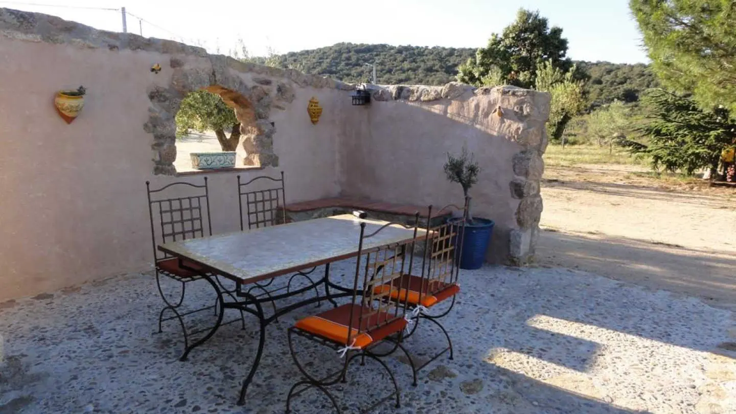 Gîte et oliviers_11