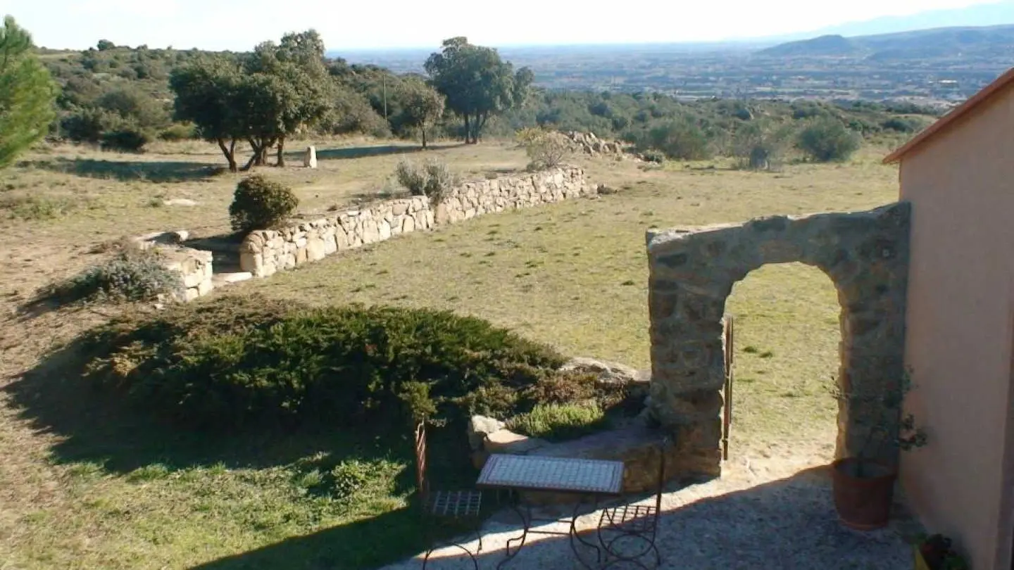 Gîte et oliviers_12