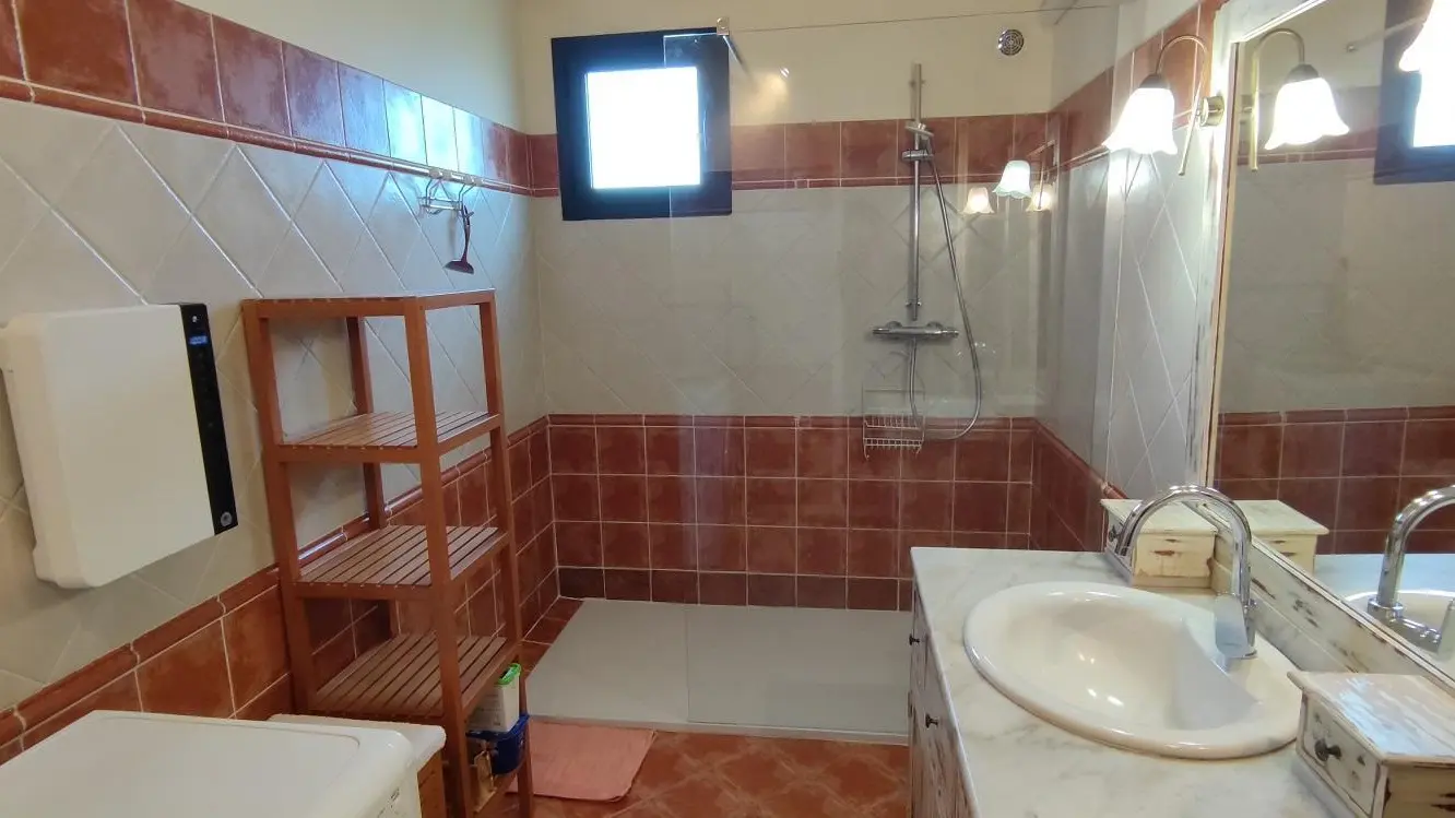 Gîte et oliviers_16