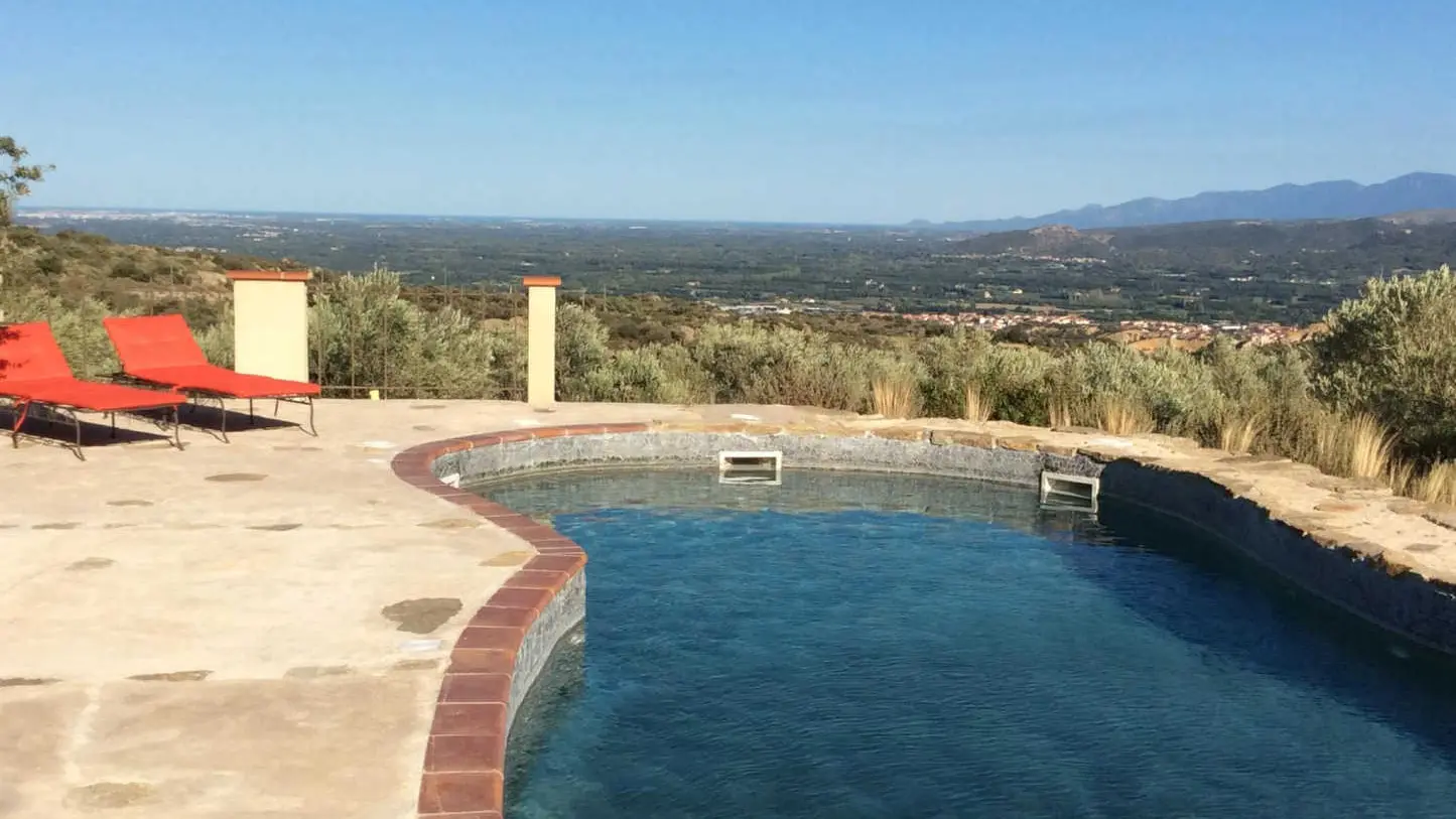 Gîte et oliviers_21