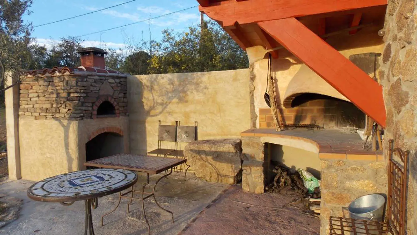 Gîte et oliviers_20