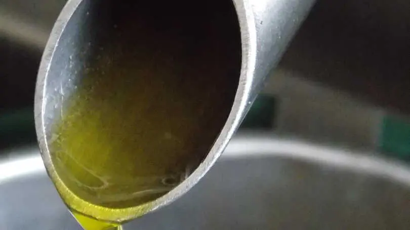 Gîte et oliviers_23